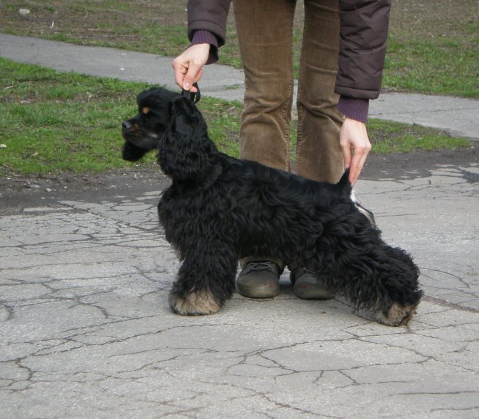 Sassy 7 mesiacov